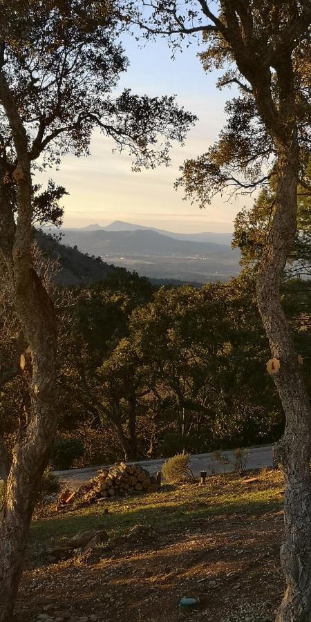 Domaine Des Chenes De La Galline La Garde-Freinet Buitenkant foto