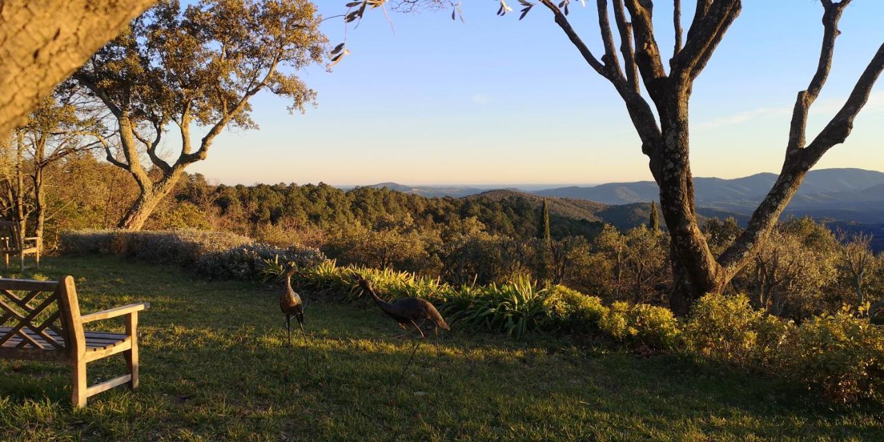 Domaine Des Chenes De La Galline La Garde-Freinet Buitenkant foto